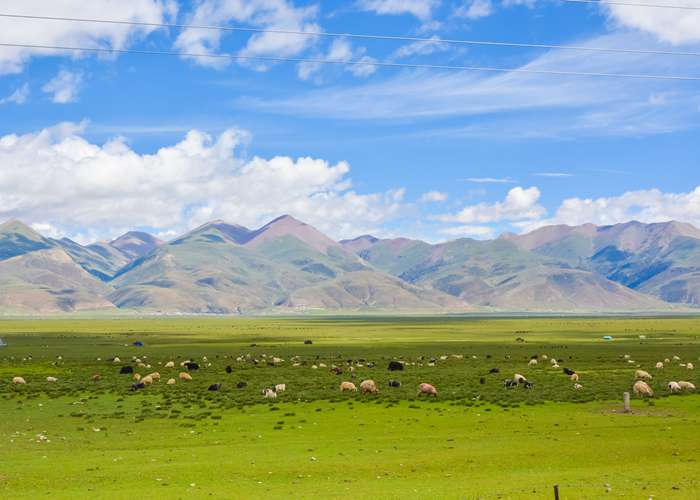 成都到三星堆，我找到了最省心的玩法！别再折腾转车了-第2张图片-成都租车公司